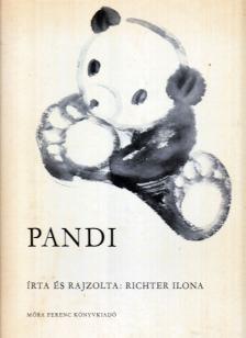 Richter Ilona - Pandi [antikvár]