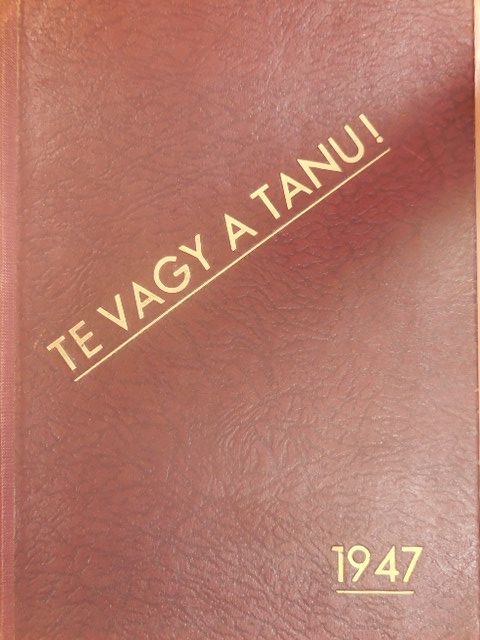 Antal Gábor - Te vagy a tanu! [antikvár]