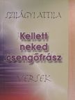 Szilágyi Attila - Kellett neked csengőfrász [antikvár]