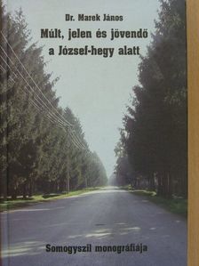 Fülöp Márta - Múlt, jelen és jövendő a József-hegy alatt [antikvár]