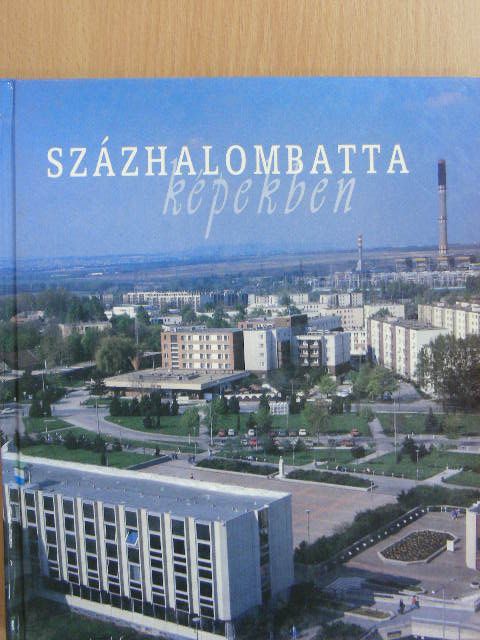 Poroszlai Ildikó - Százhalombatta képekben [antikvár]
