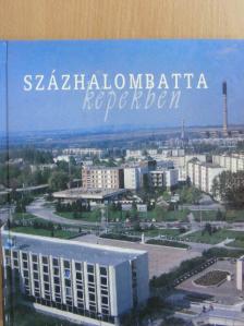 Poroszlai Ildikó - Százhalombatta képekben [antikvár]