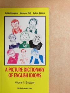 Babarci Bulcsú - A Picture Dictionary of English Idioms 1. [antikvár]