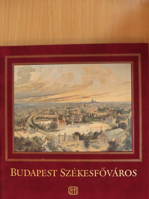 Dr. Buzinkay Géza - Budapest székesfőváros [antikvár]