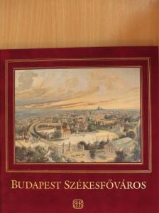 Dr. Buzinkay Géza - Budapest székesfőváros [antikvár]