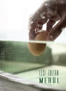 Lesi Zoltán - Merül