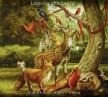 A MIDWINTER NIGHT`S DREAM CD L.MCKENNITT
