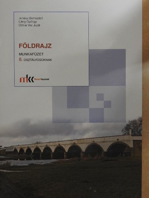 Juhász Bernadett - Földrajz munkafüzet 8. [antikvár]