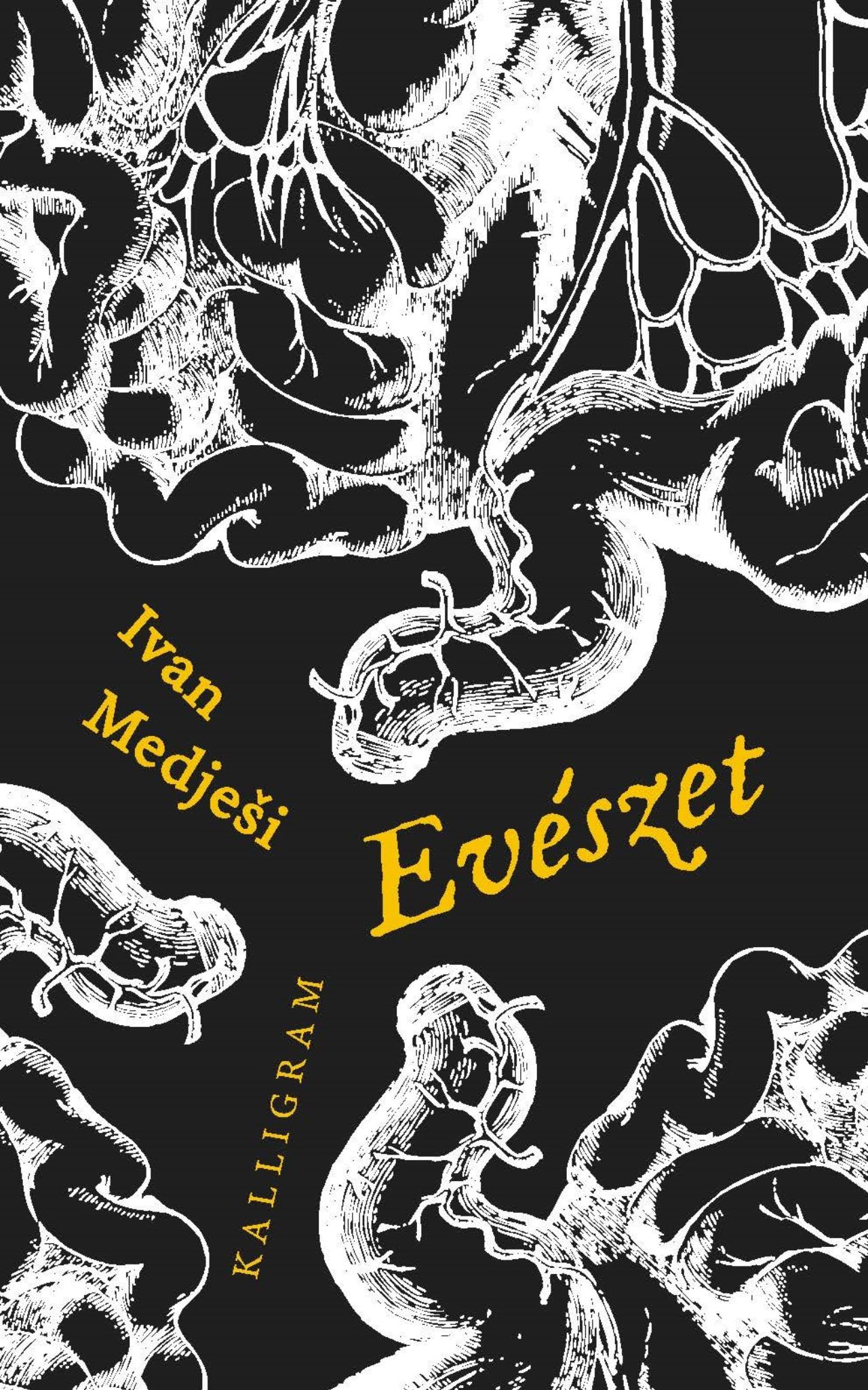 Ivan Medje¹i - Evészet