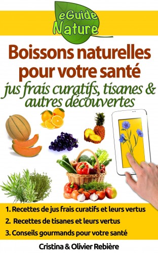 Olivier Rebiere Cristina Rebiere, - Boissons naturelles pour votre santé [eKönyv: epub, mobi]