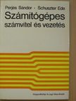 Dr. Schuszter Ede - Számítógépes számvitel és vezetés [antikvár]