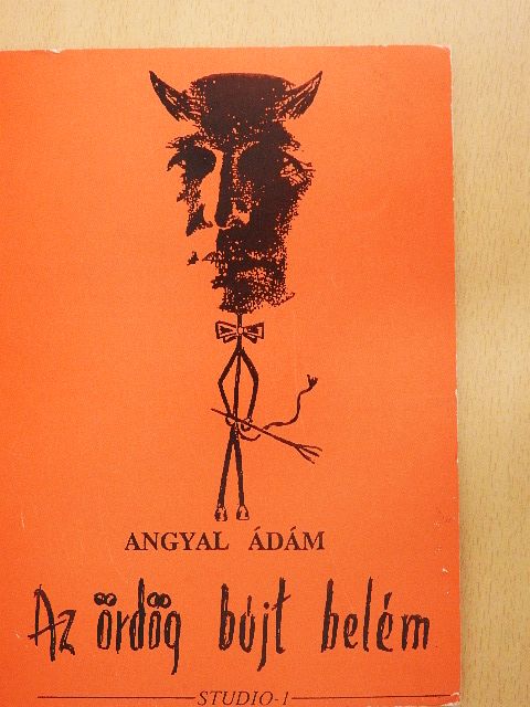 Angyal Ádám - Az ördög bújt belém [antikvár]