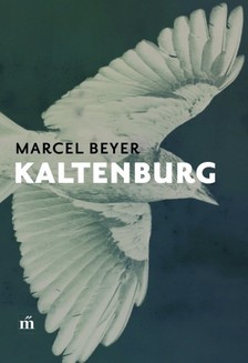Beyer, Marcel - Kaltenburg [eKönyv: epub, mobi]