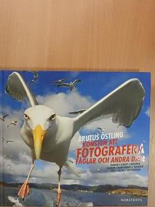 Konsten att fotografera [antikvár]