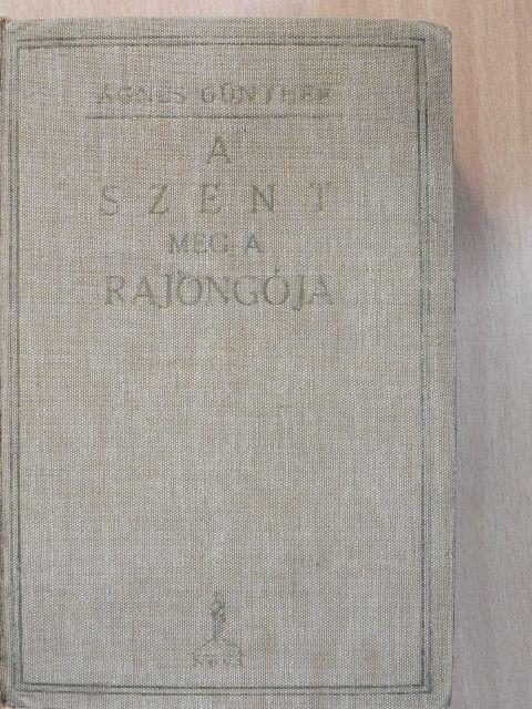 Agnes Günther - A szent meg a rajongója I-II. [antikvár]
