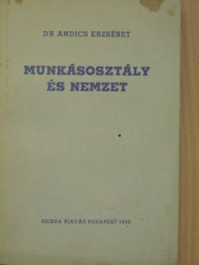 Dr. Andics Erzsébet - Munkásosztály és nemzet [antikvár]