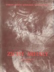 BÉNYI LÁSZLÓ - Zichy Mihály emlékmúzeum, Zala [antikvár]