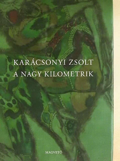 Karácsonyi Zsolt - A nagy kilometrik [antikvár]