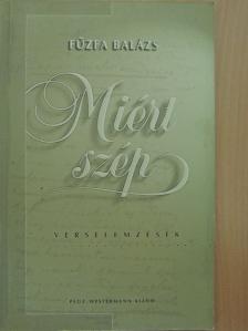 Fűzfa Balázs - Miért szép [antikvár]