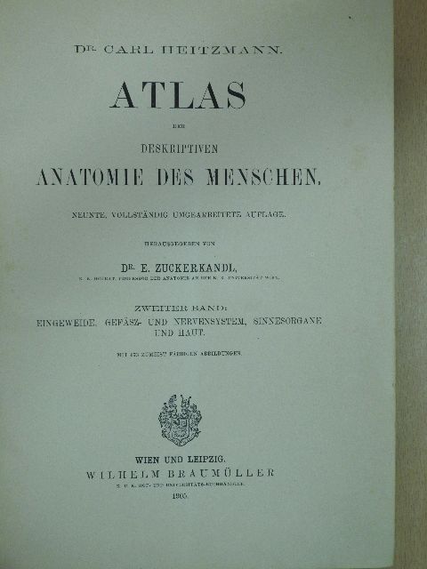 Dr. Carl Heitzmann - Atlas der deskriptiven anatomie des menschen II. [antikvár]