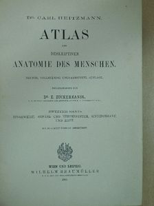 Dr. Carl Heitzmann - Atlas der deskriptiven anatomie des menschen II. [antikvár]
