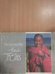Paulius Normantas - The invincible Amdo Tibetans (dedikált példány) [antikvár]