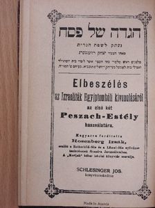 Elbeszélés az Izraeliták Egyiptombóli kivonulásáról [antikvár]