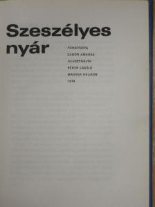 Vladislav Vancura - Szeszélyes nyár [antikvár]
