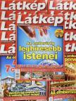 Dudás Vera - Látkép 2008. (nem teljes évfolyam) [antikvár]