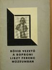 Rövid vezető a soproni Liszt Ferenc Múzeumban [antikvár]