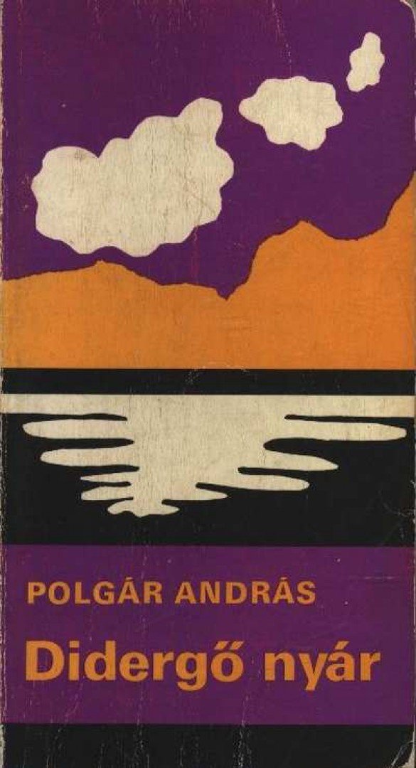 POLGÁR ANDRÁS - Didergő nyár [antikvár]