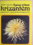 Paksy Zsuzsa - Egész évben krizantém [antikvár]