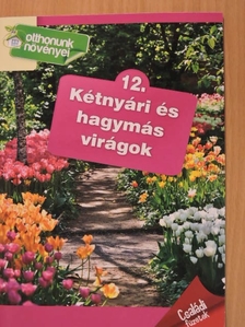 Balázs Erzsébet - Kétnyári és hagymás virágok [antikvár]