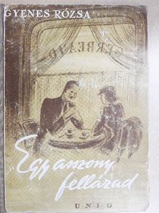 Gyenes Rózsa - Egy asszony fellázad [antikvár]