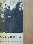 Kazimierz Smolen - Auschwitz 1940-1945 [antikvár]