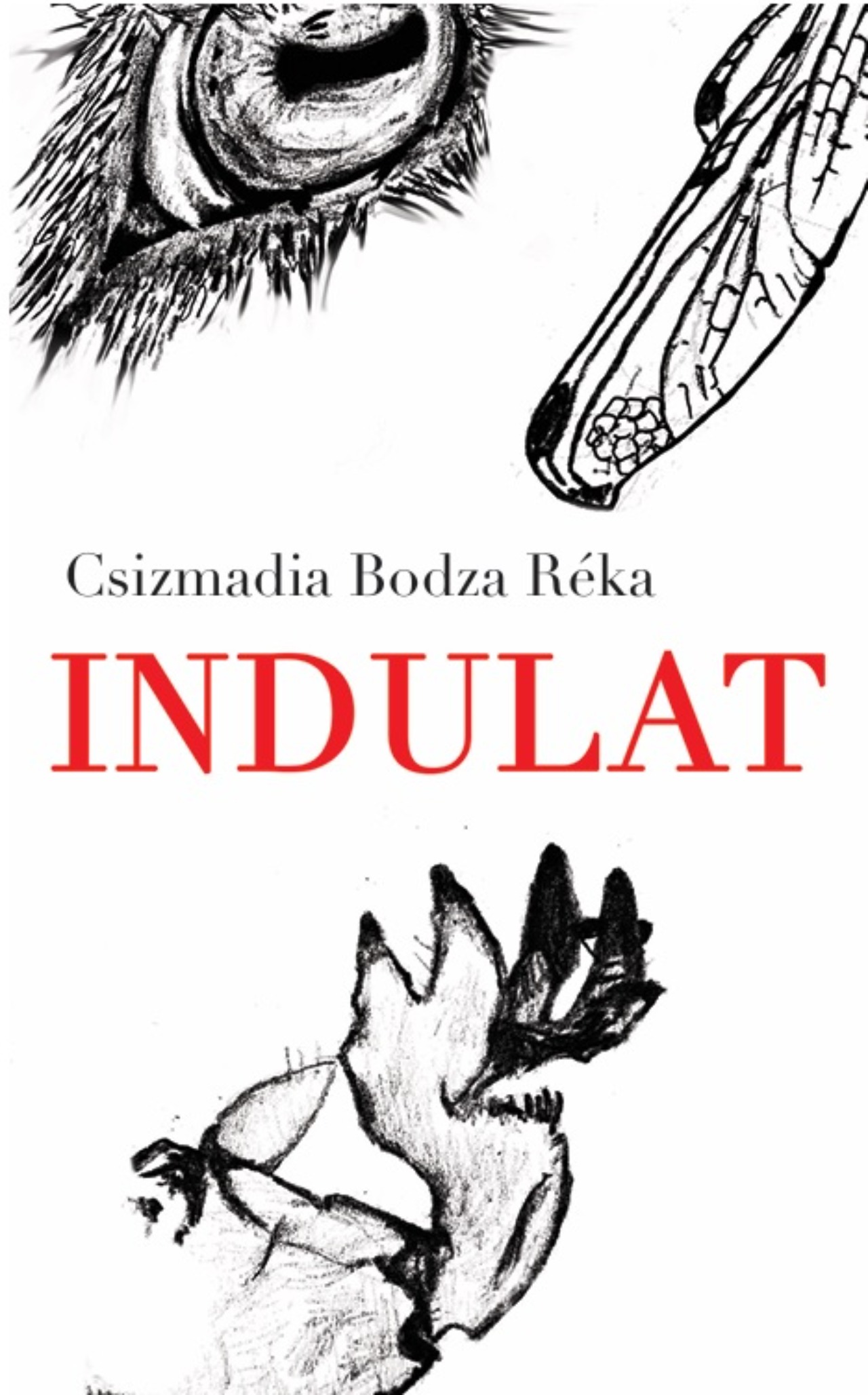 Csizmadia Bodza Réka - Indulat