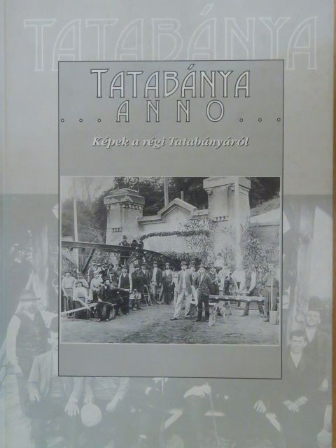 Fűrészné Molnár Anikó - Tatabánya Anno [antikvár]