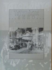 Fűrészné Molnár Anikó - Tatabánya Anno [antikvár]