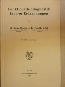 Dr. Anton Fischer - Funktionelle Diagnostik innerer Erkrankungen [antikvár]
