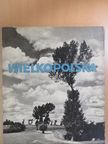 Wielkopolska [antikvár]