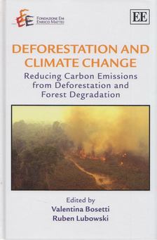 Valentina Bosetti - Deforestation and Climate Change [antikvár]