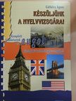 Gálfalvy Ágnes - Készüljünk a nyelvvizsgára! [antikvár]