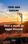 Anna Karolina Török - Ahol a domb az éggel összeér [eKönyv: epub, mobi]