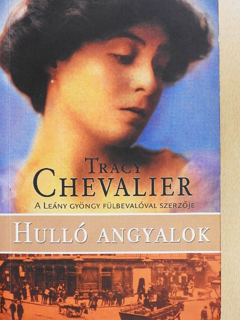 Tracy Chevalier - Hulló angyalok [antikvár]