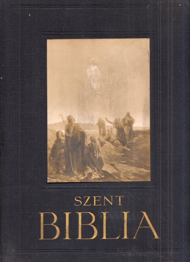 Újszövetségi Szentírás a Vulgata szerint [antikvár]