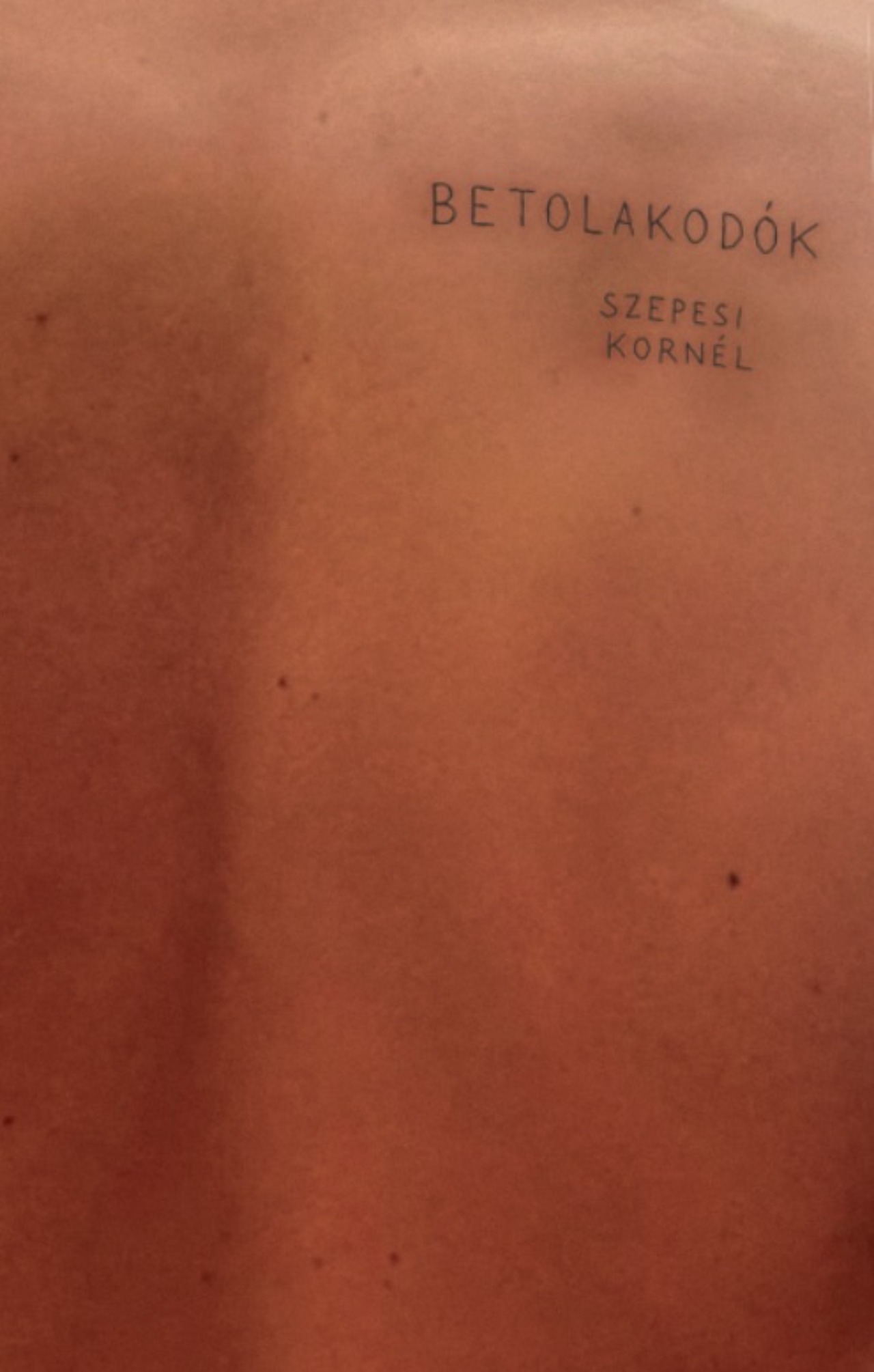 Szepesi Kornél - Betolakodók