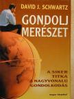 David J. Schwartz - Gondolj merészet [antikvár]