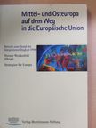 Detlef Henning - Mittel- und Osteuropa auf dem Weg in die Europäische Union [antikvár]