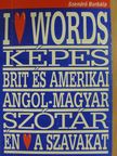 Szendrő Borbála - Képes brit és amerikai angol-magyar szótár [antikvár]