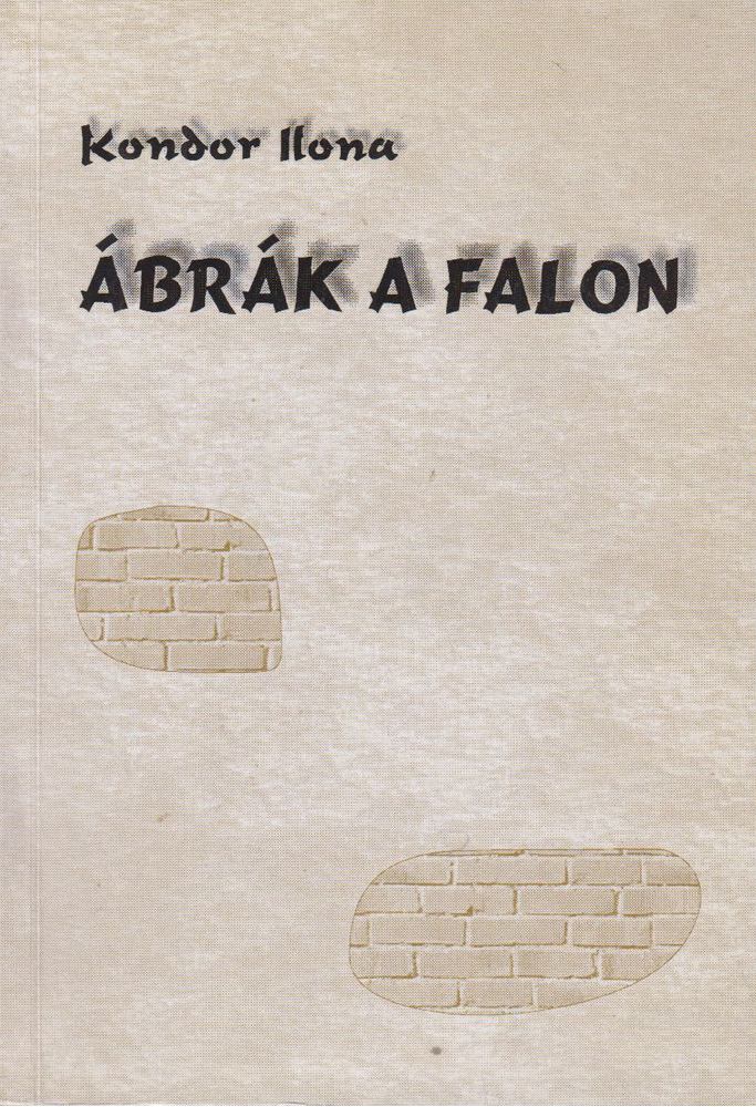 Kondor Ilona - Ábrák a falon [antikvár]